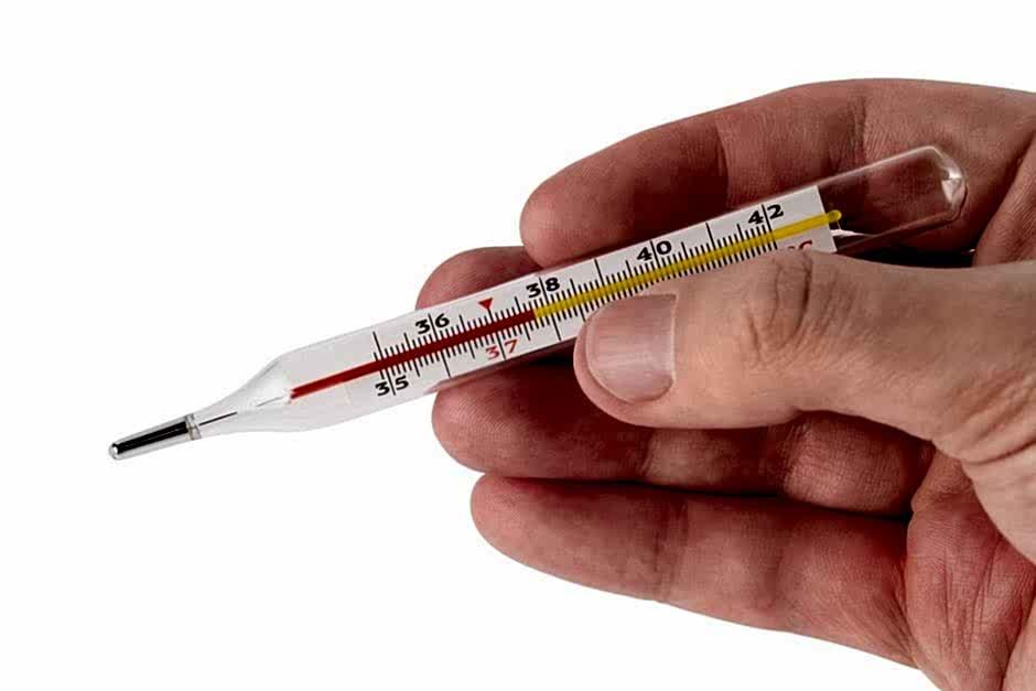 температура тела